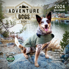 Adventure Dogs 2024 Wall Calendar: Hiking, Camping, and Traveling with Courageous Canines By Amber Lotus Publishing (Created by) Cover Image