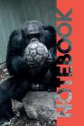 Notebook: Football Equipment Terrific Composition Book for Orangutan Footie Coach Cover Image
