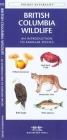 British Columbia Seashore Life: A Folding Pocket Guide to Familiar Plants and Animals (Pocket Naturalist Guide) Cover Image
