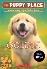 Goldie (The Puppy Place #1) Cover Image