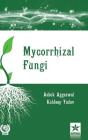 Mycorrhizal Fungi By Ashok Aggarwal (Editor) Cover Image