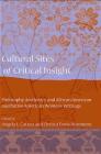 Cultural Sites of Critical Insight: Philosophy, Aesthetics, and African American and Native American Women's Writings Cover Image