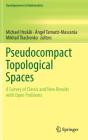 Pseudocompact Topological Spaces: A Survey of Classic and New Results with Open Problems (Developments in Mathematics #55) By Michael Hrusák (Editor), Ángel Tamariz-Mascarúa (Editor), Mikhail Tkachenko (Editor) Cover Image