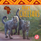 Baby Cheetahs (Baby African Animals) By Amy Culliford Cover Image