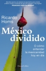 México Dividido By Ricardo Homs Cover Image