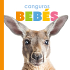 Canguros Bebés By Kate Riggs Cover Image