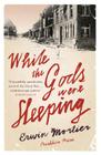 While the Gods Were Sleeping Cover Image