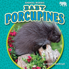 Baby Porcupines By Jennifer Boothroyd Cover Image
