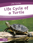 Life Cycle of a Turtle Cover Image
