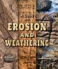 A Look at Erosion and Weathering (Rock Cycle) By Cecelia H. Brannon Cover Image