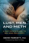 Lust, Men, and Meth: A Gay Man's Guide to Sex and Recovery By David Michael Fawcett Cover Image
