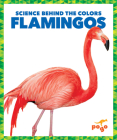 Flamingos By Alicia Z. Klepeis Cover Image