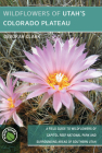 Wildflowers of Utah's Colorado Plateau: A Field Guide to Wildflowers of Capitol Reef National Park and Surrounding Areas of Southern Utah Cover Image