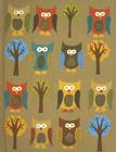 Owls Journal By Inc Peter Pauper Press (Created by) Cover Image