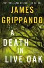 A Death in Live Oak: A Jack Swyteck Novel By James Grippando Cover Image