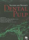 Seltzer and Bender's Dental Pulp By Ed Hargreaves, Kenneth M. Cover Image