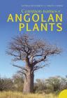 Common Names of Angolan Plants Cover Image