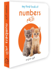 My First Book of Numbers (English-Arabic) By Wonder House Books Cover Image