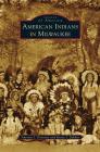 American Indians in Milwaukee By Antonio J. Doxtator, Renee J. Zakhar Cover Image