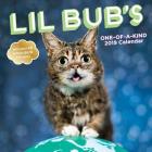 Lil Bub’s One-of-a-Kind 2019 Wall Calendar By Lil Bub Cover Image