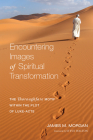 Encountering Images of Spiritual Transformation: The Thoroughfare Motif Within the Plot of Luke-Acts By James M. Morgan, Steve Walton (Foreword by) Cover Image