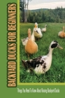Backyard Ducks For Beginners: Things You Need To Know About Raising Backyard Ducks: Backyard Duck Setup Cover Image
