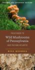 Field Guide to Wild Mushrooms of Pennsylvania and the Mid-Atlantic: Revised and Expanded Edition (Keystone Books) By Bill Russell Cover Image