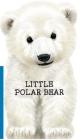 Little Polar Bear (Mini Look at Me Books) By Laura Rigo (Illustrator) Cover Image
