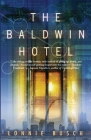 The Baldwin Hotel By Lonnie Busch Cover Image
