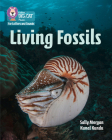 Living Fossils: Band 7/Turquoise (Collins Big Cat Phonics) By Collins Big Cat (Prepared for publication by) Cover Image