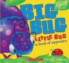 Big Bug, Little Bug: A Book of Opposites Cover Image