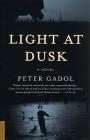 Light at Dusk: A Novel Cover Image