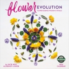 Flower Evolution 2024 Wall Calendar: Flower Essence Wisdom & Rituals by Katie Hess By Amber Lotus Publishing (Created by) Cover Image