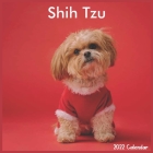 Shih Tzu Calendar 2022: Official Shih Tzu Dog breed Calendar 2022 16 Months By Pro Calendar 2022-2023 Cover Image