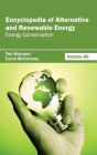 Encyclopedia of Alternative and Renewable Energy: Volume 06 (Energy Conservation) By Ted Weyland (Editor), David McCartney (Editor) Cover Image