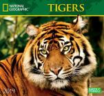 Cal 2019 National Geographic Tigers By National Geographic (Photographer) Cover Image