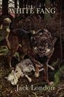 White Fang By Jack London Cover Image