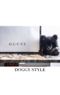 Gucci Doggy Style: Gucci Doggy Style By Michael Huhn Cover Image
