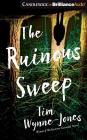 The Ruinous Sweep Cover Image