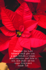 A Sign Bulletin (Pkg 100) Christmas Cover Image