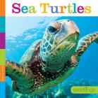 Sea Turtles (Seedlings) Cover Image