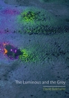 The Luminous and the Grey By David Batchelor Cover Image