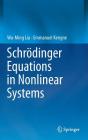 Schrödinger Equations in Nonlinear Systems Cover Image