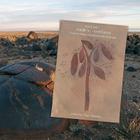 Rock Art Made in Translation: Framing Images of and from the Landscape By Pippa Skotnes (Editor) Cover Image
