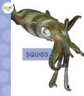 Squids (Spot Ocean Animals) Cover Image