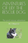 Adventures of Lily the Rescue Dog: The pool rescue adventure By Mae Josephine Harris Cover Image