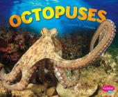 Octopuses (Sea Life) By Elizabeth R. Johnson Cover Image