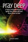 Pray Deep: Ignite Your Prayer Life in 21 Days (Pray Deep Guided Prayer Journals #1) By Kathryn Shirey Cover Image