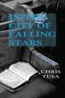In the City of Falling Stars By Chris Tusa Cover Image