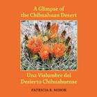 A Glimpse of the Chihuahuan Desert: Una Vislumbre del Desierto Chihuahuense By Caiti Steele (Illustrator), Donna Yargosz (Translator), Patricia R. Mihok Cover Image